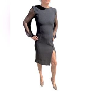 Amelia Toro 4 Black Silk Sheer Long Sleeve Sheath Dress